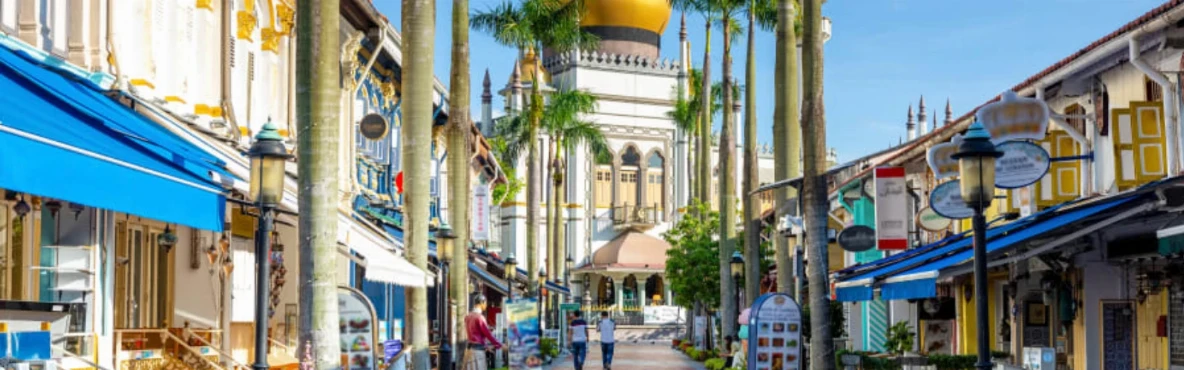Experience Chinatown, Little India, and Kampong Glam