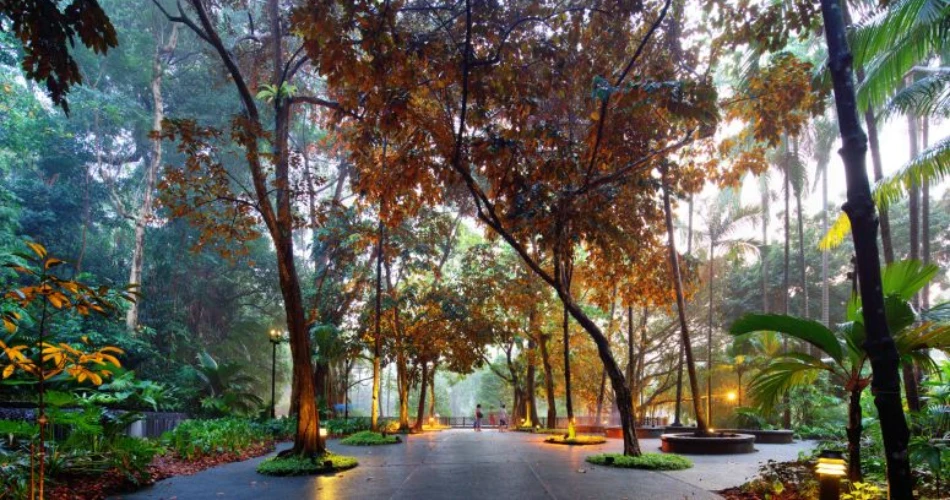 Singapore Botanic Gardens