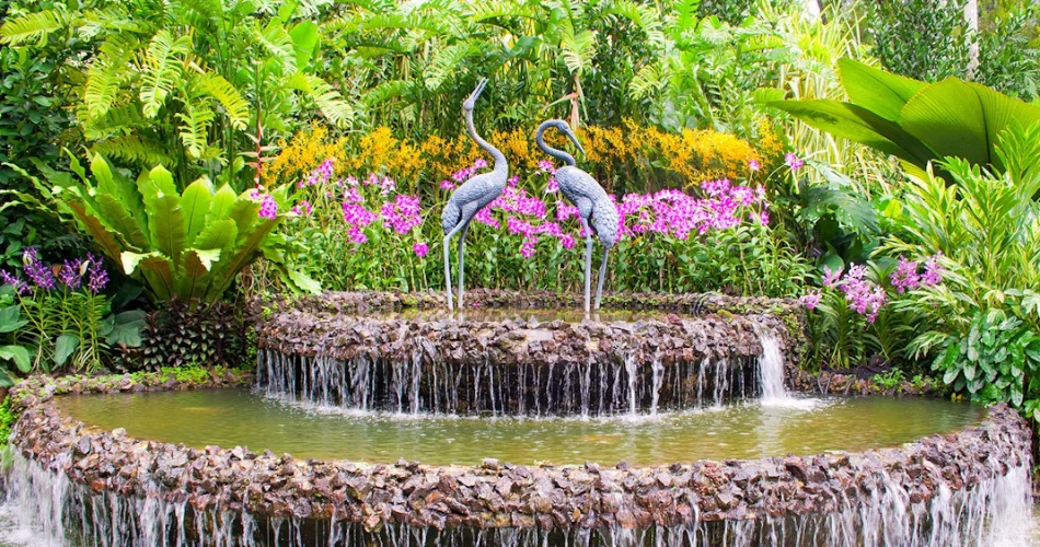 Singapore Botanic Gardens