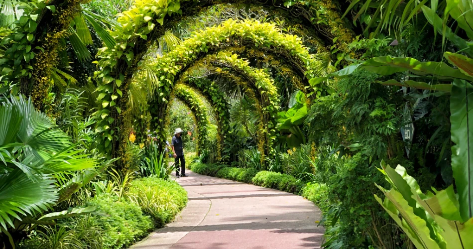 Singapore Botanic Gardens