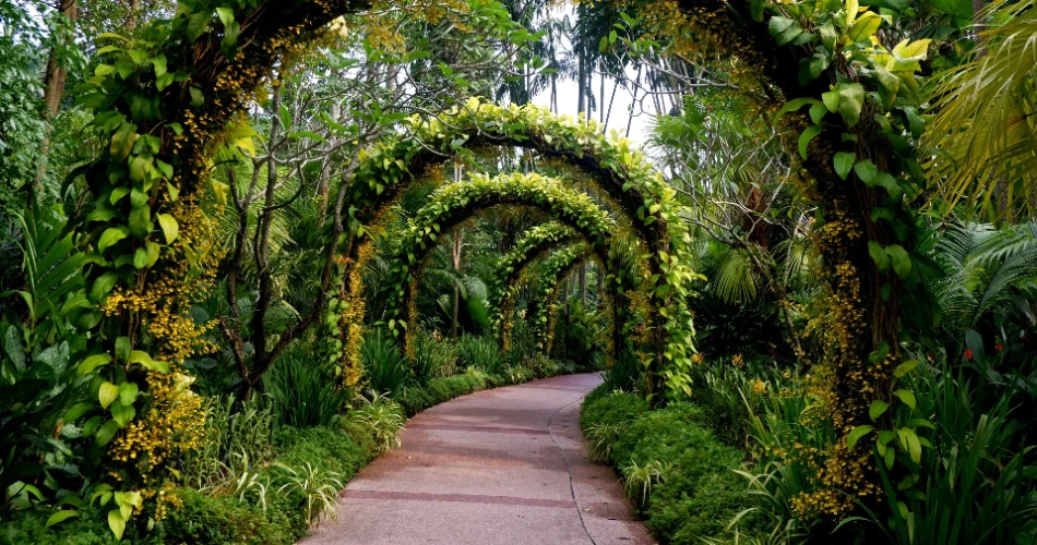 Singapore Botanic Gardens