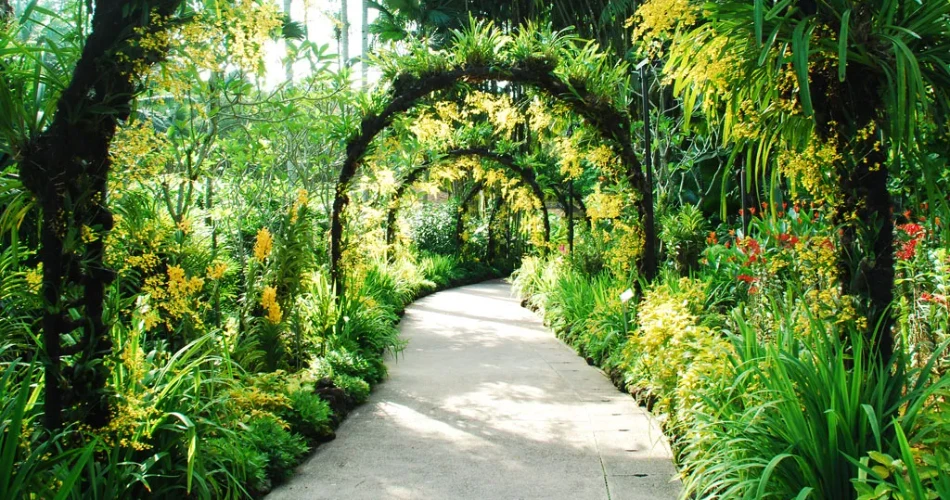 Singapore Botanic Gardens